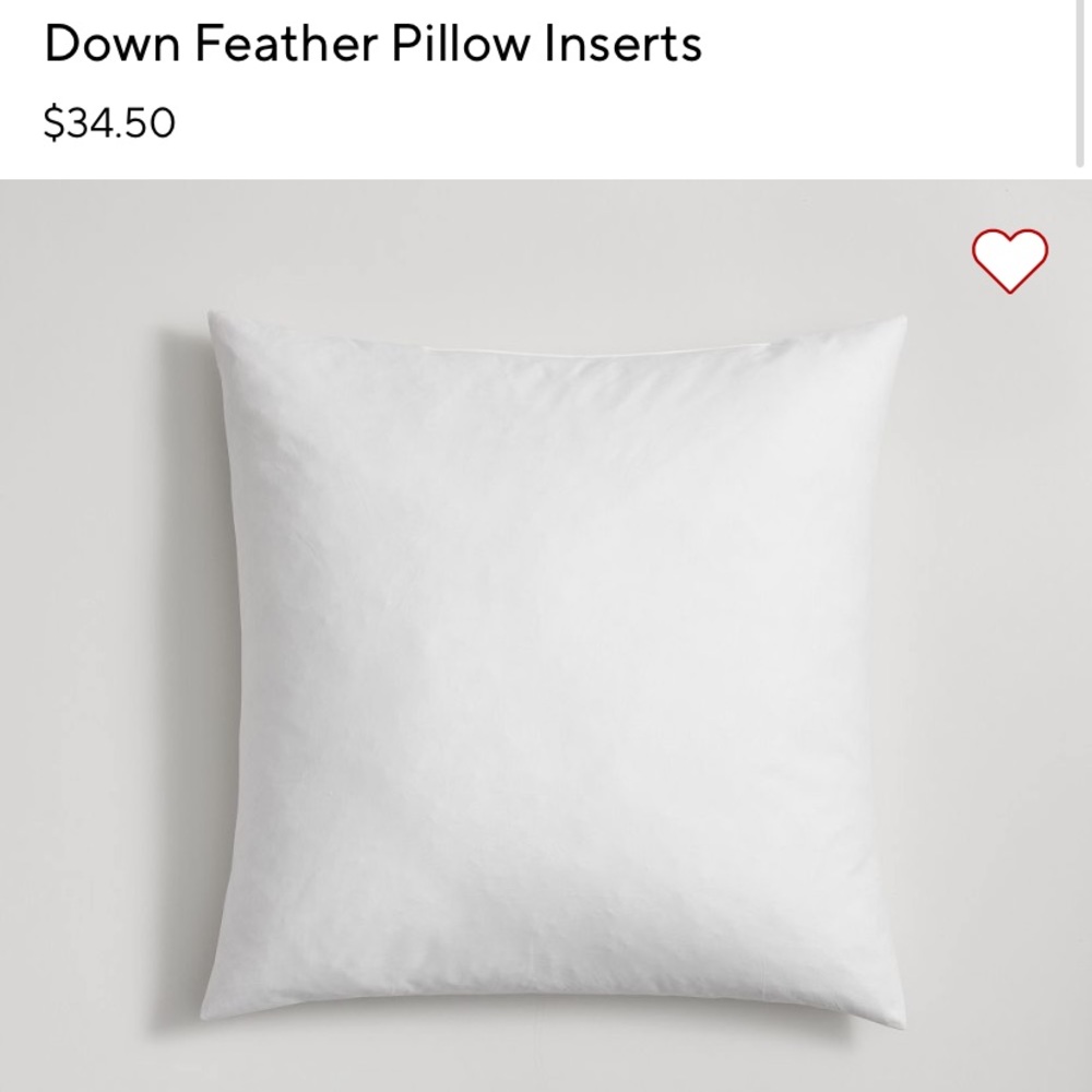 Pottery Barn 22 x 22 Down Pillow Insert
